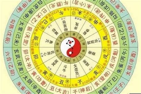 出生月份 五行|生辰八字算命、五行喜用神查询（免费测算）